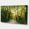Designart - Evening in Green Forest - Large landscape Canvas Art Print